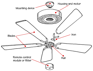 Ceiling Fan - VAriety