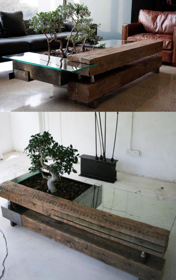 bonsai-coffee-table-600x9561