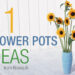 Some flower pots ideas for your home